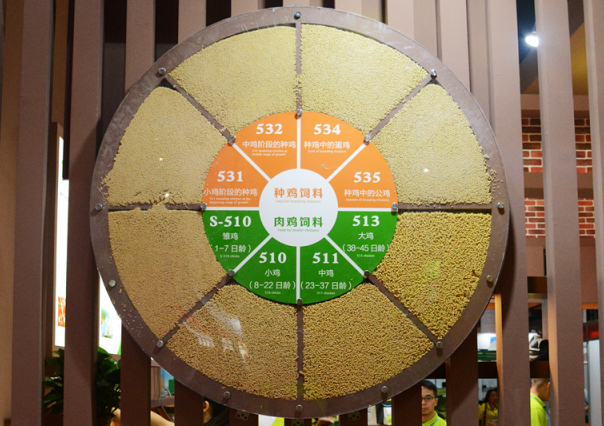 yp街机·电子游戏(中国)最新官网