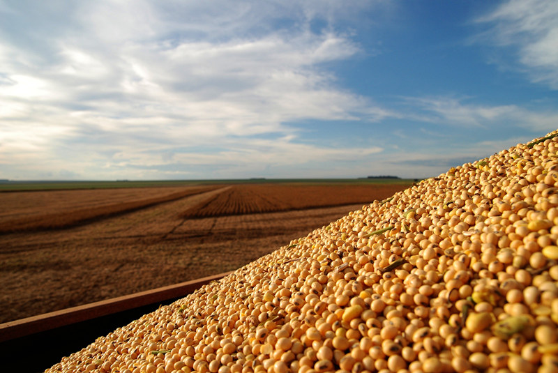 yp街机·电子游戏(中国)最新官网