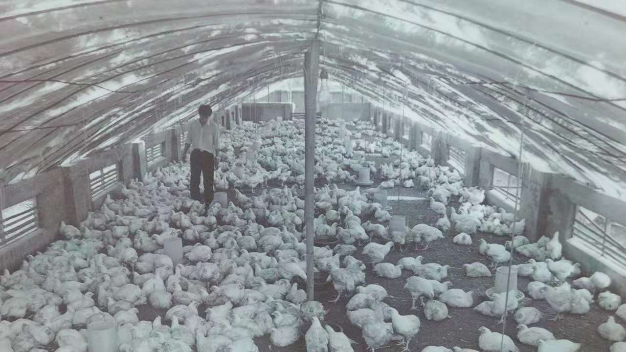 yp街机·电子游戏(中国)最新官网