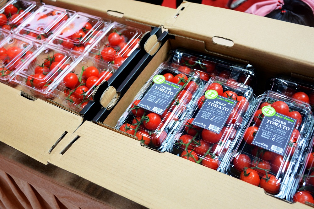 yp街机·电子游戏(中国)最新官网