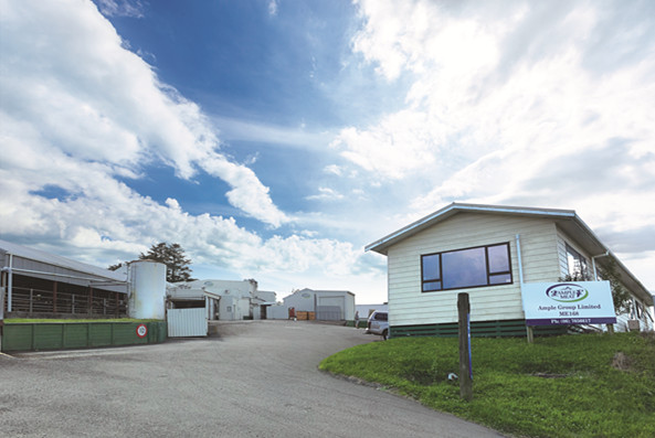 yp街机·电子游戏(中国)最新官网