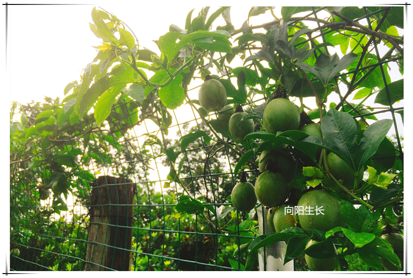 yp街机·电子游戏(中国)最新官网