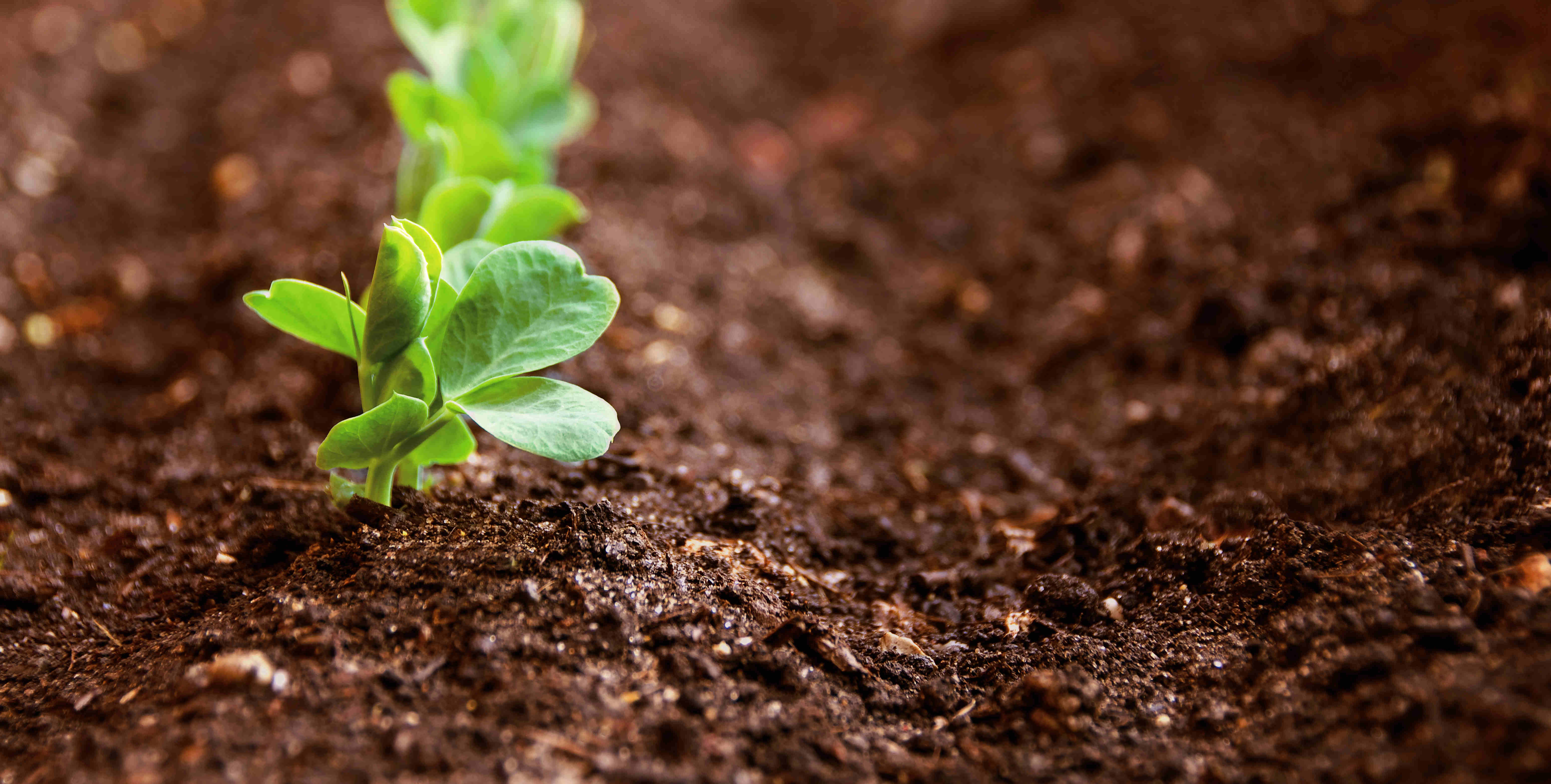 yp街机·电子游戏(中国)最新官网