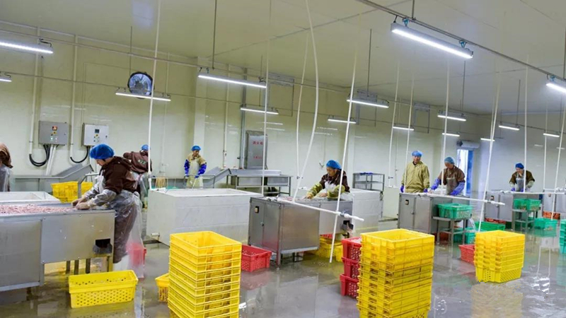 yp街机·电子游戏(中国)最新官网