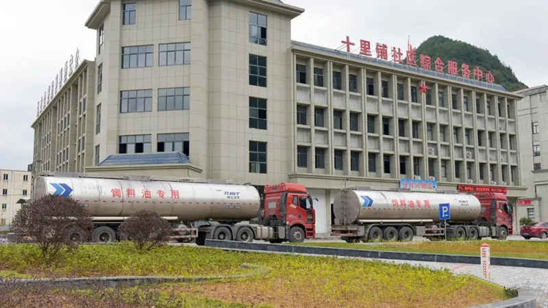 yp街机·电子游戏(中国)最新官网