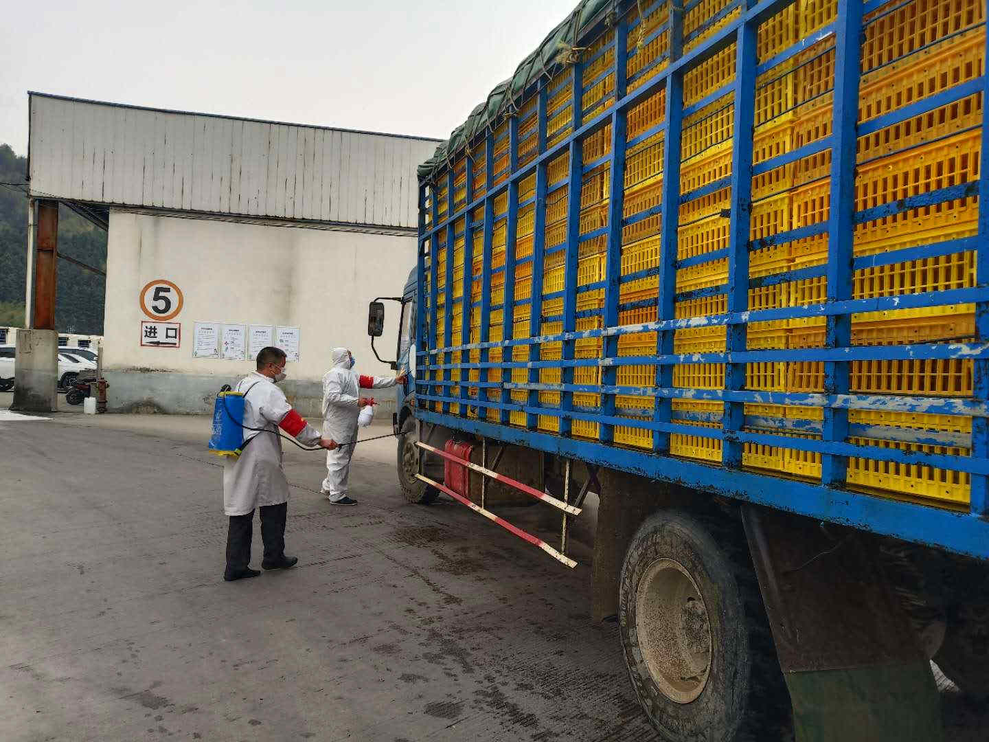 yp街机·电子游戏(中国)最新官网