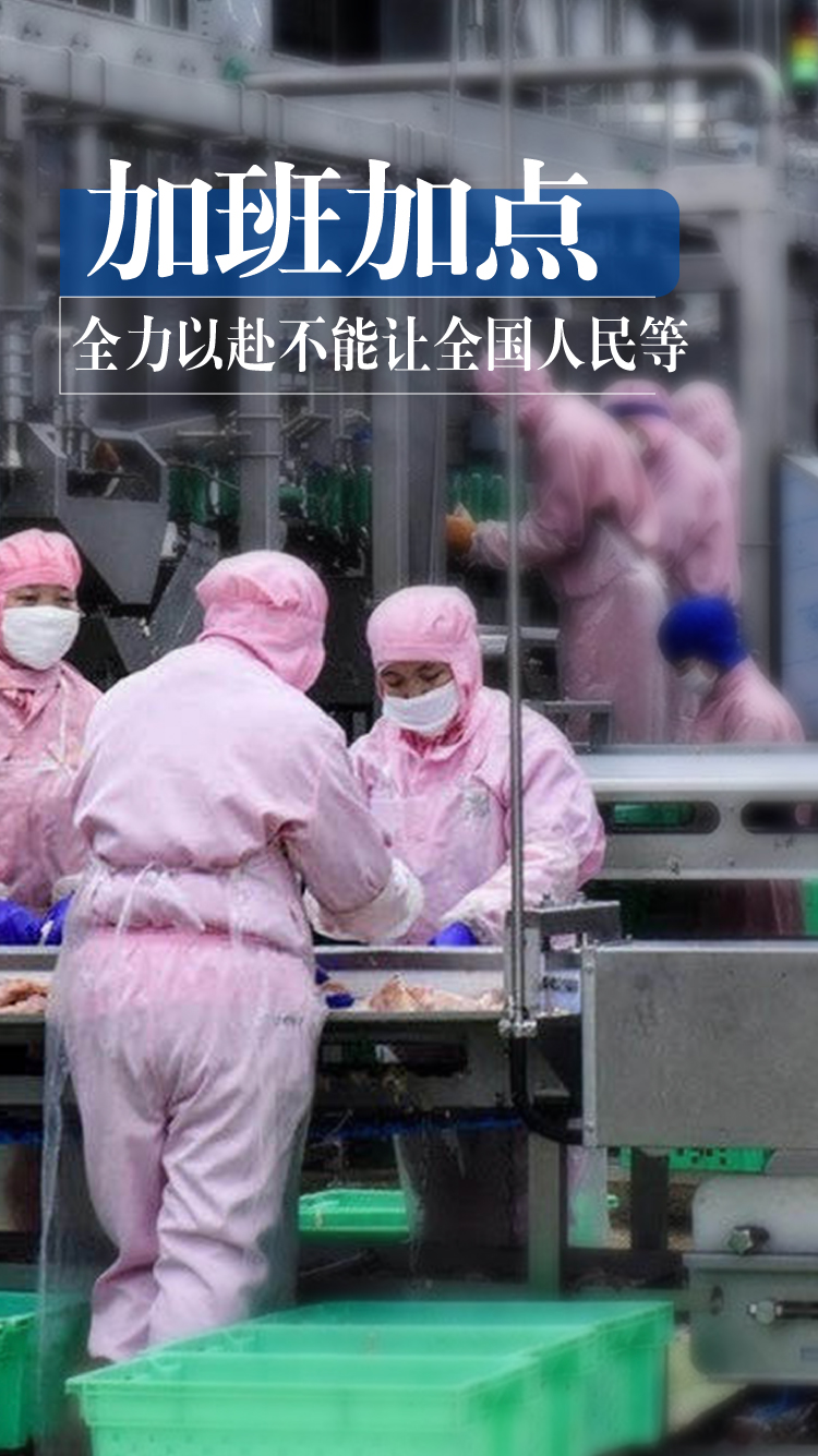 yp街机·电子游戏(中国)最新官网