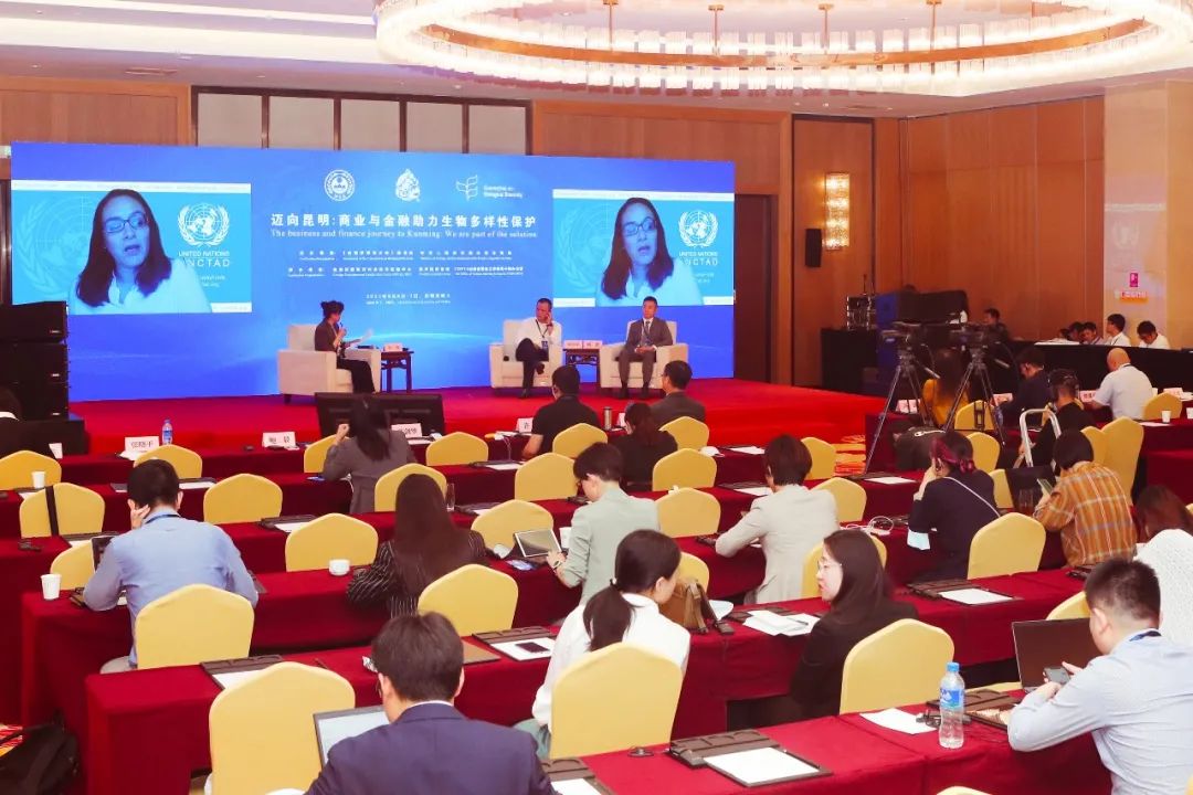 yp街机·电子游戏(中国)最新官网