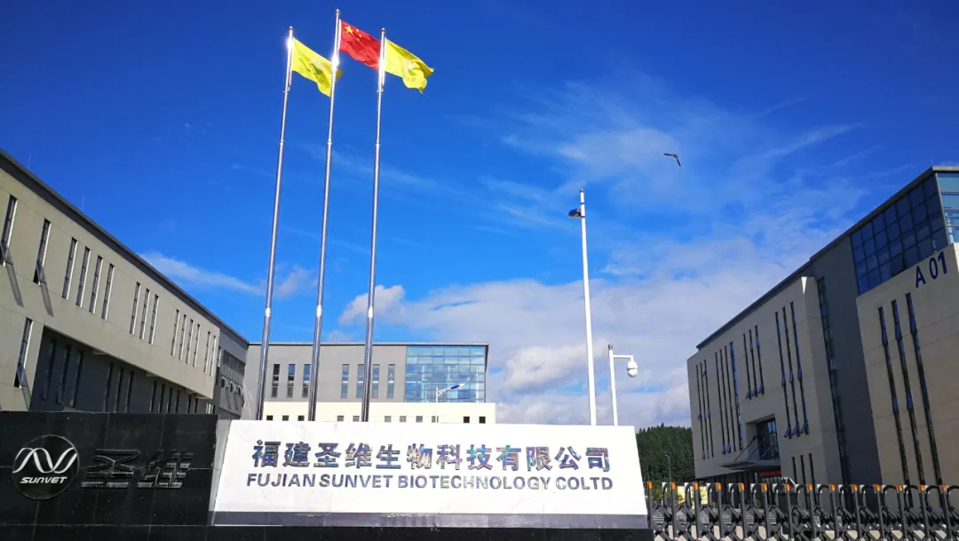 yp街机·电子游戏(中国)最新官网