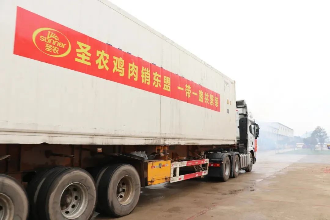 yp街机·电子游戏(中国)最新官网