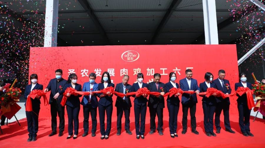 yp街机·电子游戏(中国)最新官网