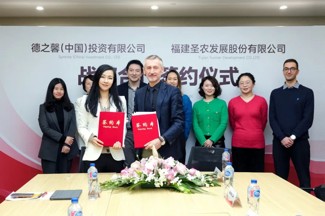 yp街机·电子游戏(中国)最新官网