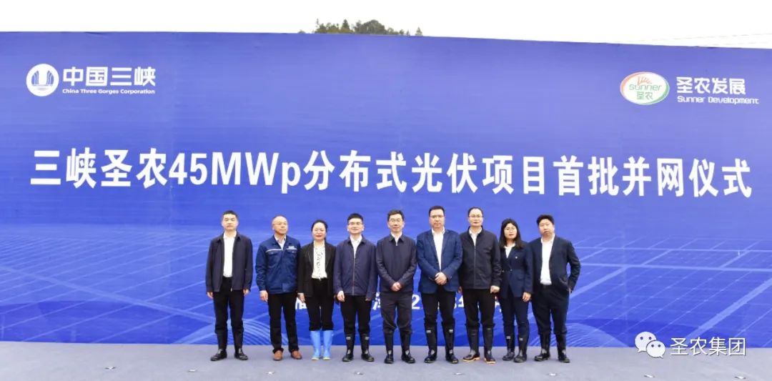 yp街机·电子游戏(中国)最新官网