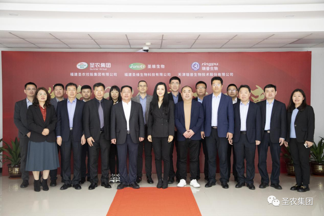 yp街机·电子游戏(中国)最新官网