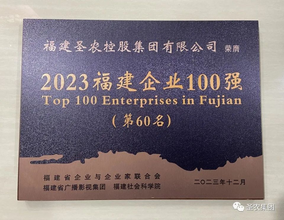 yp街机·电子游戏(中国)最新官网