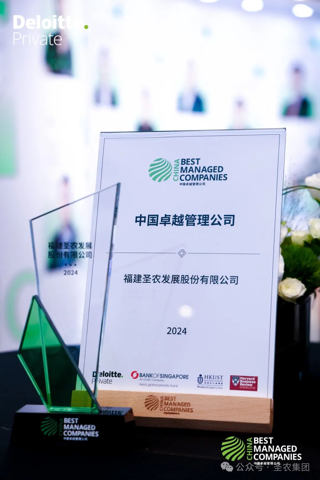 yp街机·电子游戏(中国)最新官网