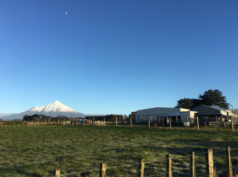 江西圣觉供应链治理有限公司