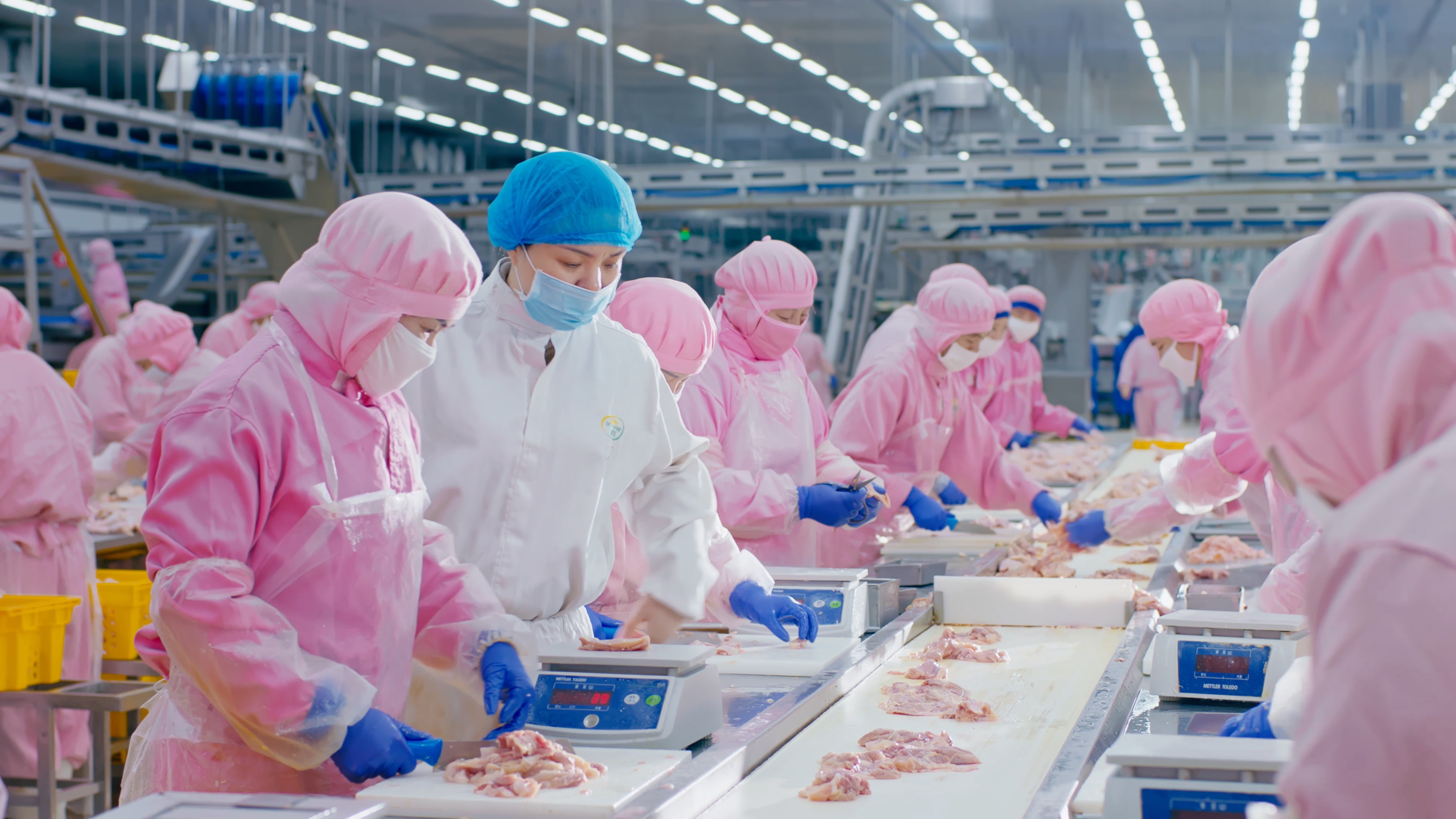 以人为本，，，，，，，携手员工配合生长