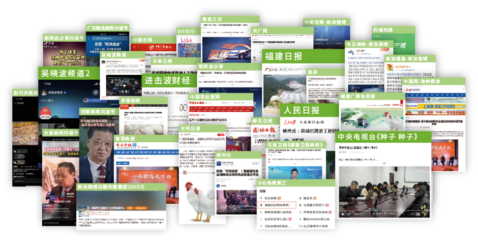 yp街机·电子游戏(中国)最新官网