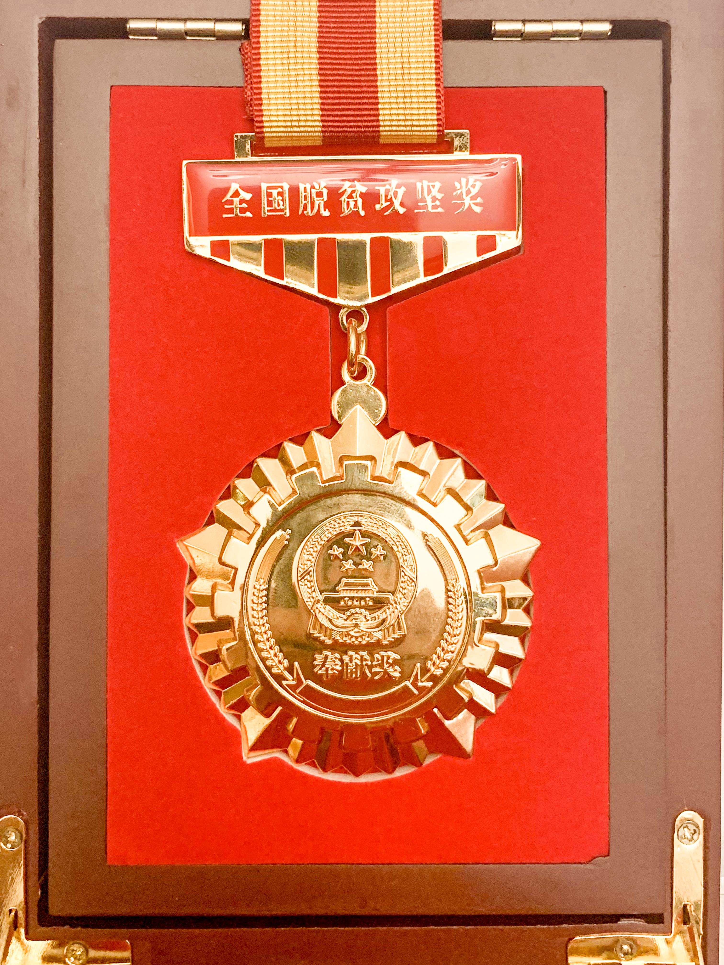 2020.10天下脱贫攻坚奖贡献奖